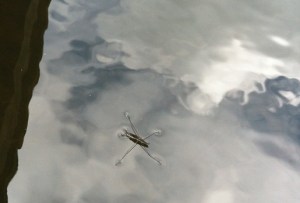 Blogging: time for reflection