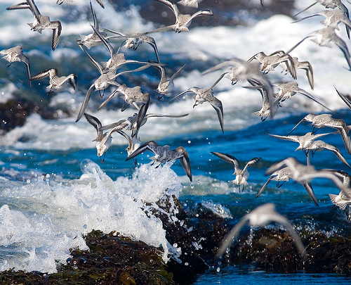 Change: do you take things as they come? [Click to view on Flickr]