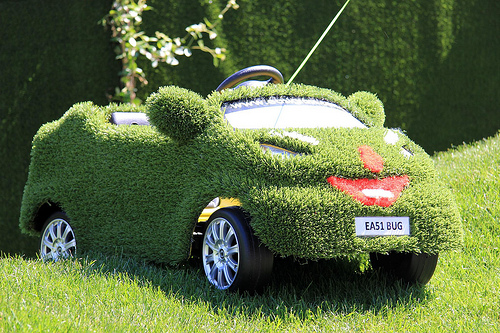 Creativity bug at Chelsea Flower Show 2012