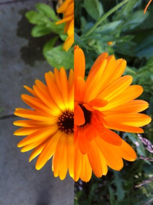 Blogging about work can feel like work. Do you blog about hobbies?