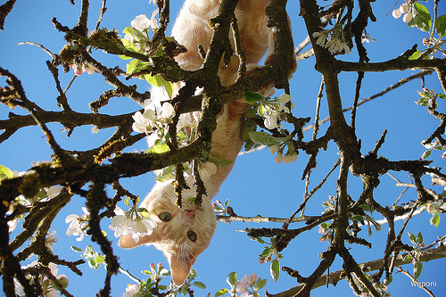 Ready for a challenge